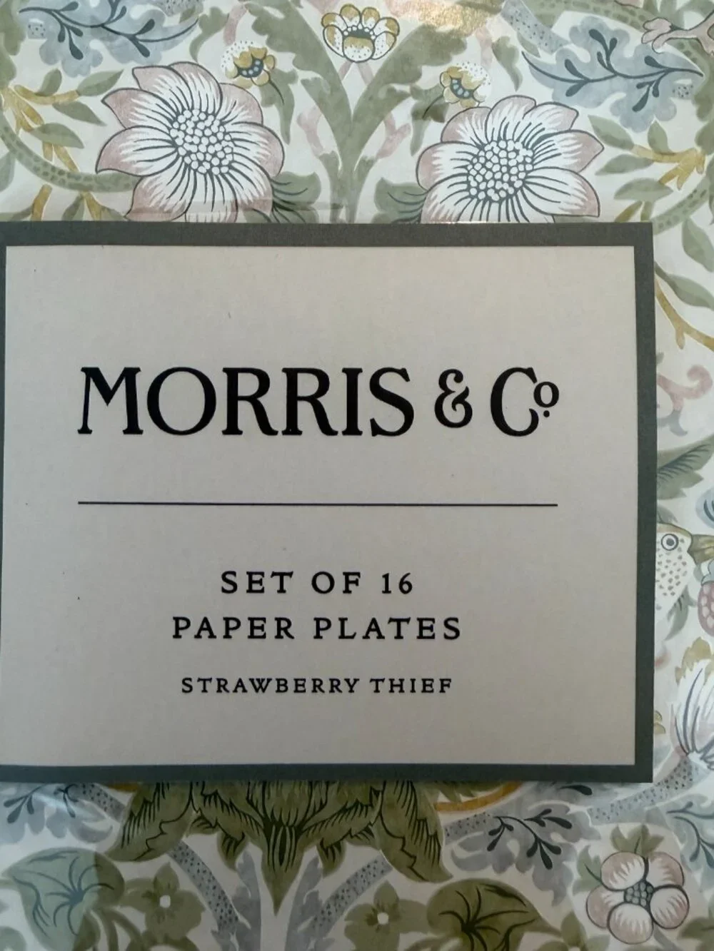 William Morris & Co Strawberry Thief Paper Plates 16 Count 9